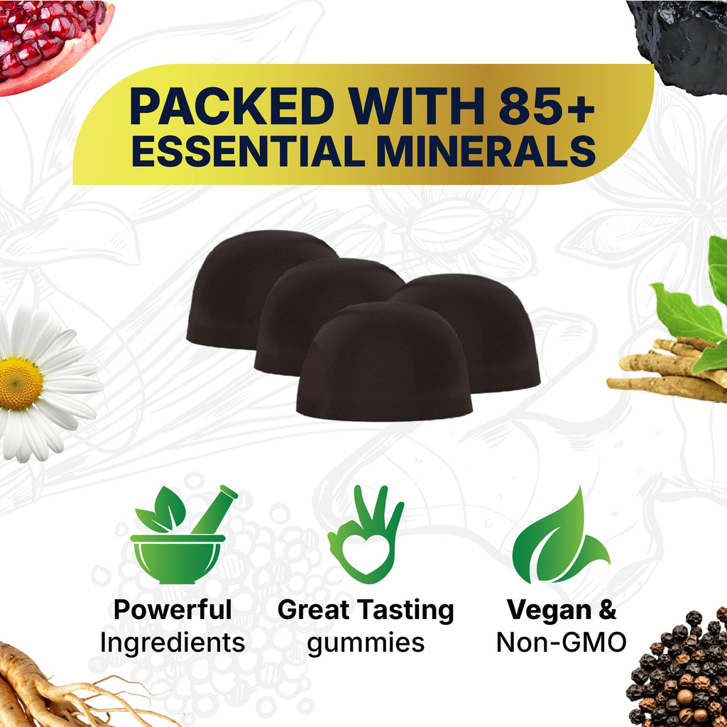 Himalayan Natural Shilajit Gummies for Men & Women – 450 mg Shilajit Resin, Ashwagandha, Ginseng, CoQ10, L-Citrulline – Energy, Focus & Stamina Support